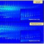 Image result for Gasoline Chromatography