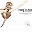 Image result for Hang in There Cat Background