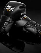Image result for Everlast Boxing Gloves