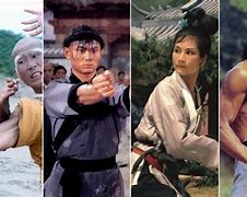 Image result for Martial Arts Movie Heroes