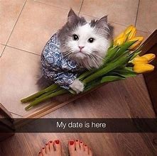 Image result for Flower Memes for Women