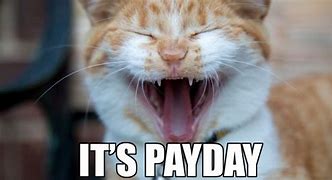 Image result for Payday Memes Animals