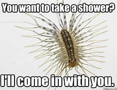 Image result for House Centipede Meme