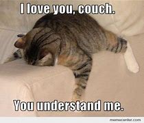 Image result for Couch Potato Cat Meme