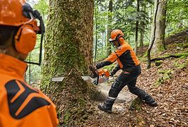 Image result for Largest Stihl Chainsaw