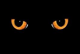 Image result for Animated Scary Cat Eyes