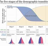 Image result for Social Shepard Age Demographic for Twitter