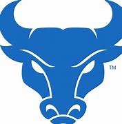 Image result for Chicago Bulls Colors