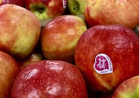 Image result for Sweet Apple Varieties