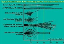 Image result for 5.56 vs .223 Caliber