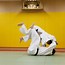 Image result for japan martial art style