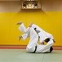 Image result for Japanese Martial Artist