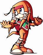 Image result for Tikal the Echidna