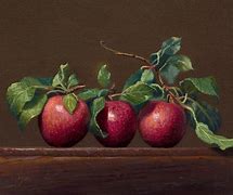 Image result for Apple Still Life Drawing