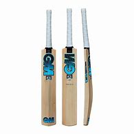 Image result for Kashmir Willow Cricket Bats Sport