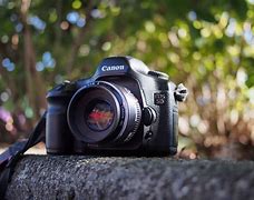 Image result for Digital Cameras