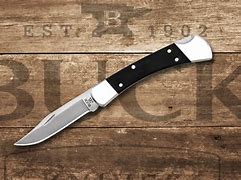 Image result for Buck Knives 110 Folding Hunter