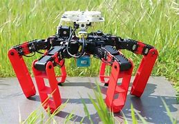 Image result for First Walking Humanoid Robot