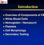 Image result for Normocytic Anemia