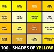 Image result for Yellow Color Bar