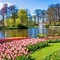Image result for Netherlands Traditions