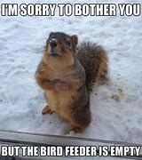 Image result for Cute Funny Animal Memes