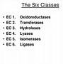 Image result for Classes of Enzymes