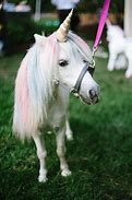 Image result for Unicorn Ohw Are You