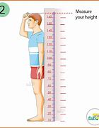 Image result for How Tall Is 23 Inches
