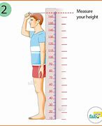 Image result for Image of 1 Meter Tall for a Person