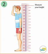 Image result for How Tall Is 63 Inches