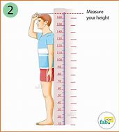 Image result for How Tall Is 15 Meters