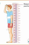 Image result for How Tall Is 28 Inches