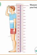 Image result for How Tall Is 5'6 in Cm