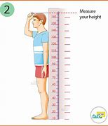 Image result for 15 Meters in Height