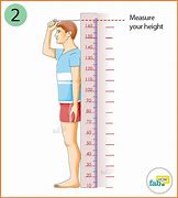 Image result for 30 Meters in Inches Height