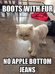 Image result for Apple Bottom Jeans Boots with the Fur Meme Coach