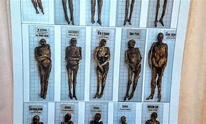 Image result for Mummie Di Venzone