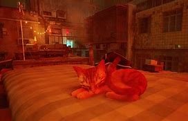 Image result for Stray Game Cat Real Life