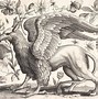 Image result for Mythical Griffin Sacred Symbolism Secrets