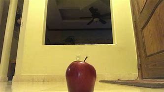 Image result for Girl Transform into Apple