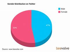 Image result for Twitter Stats by Age and Gender