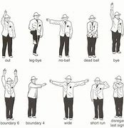Image result for Cricket Umpire Referee Hand Signals
