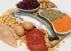 Image result for High Quality Protein Sources