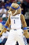 Image result for Kentucky Wildcats Basketball Mascot