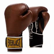 Image result for Brown Boxing Gloves