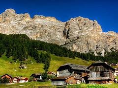 Image result for badia