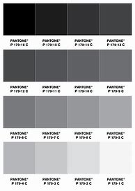 Image result for Pantone Grey Colors