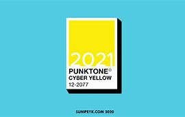Image result for Pantone 202