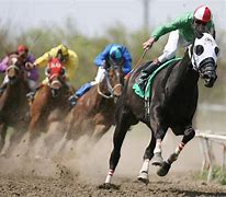 Image result for Horse Racing Background